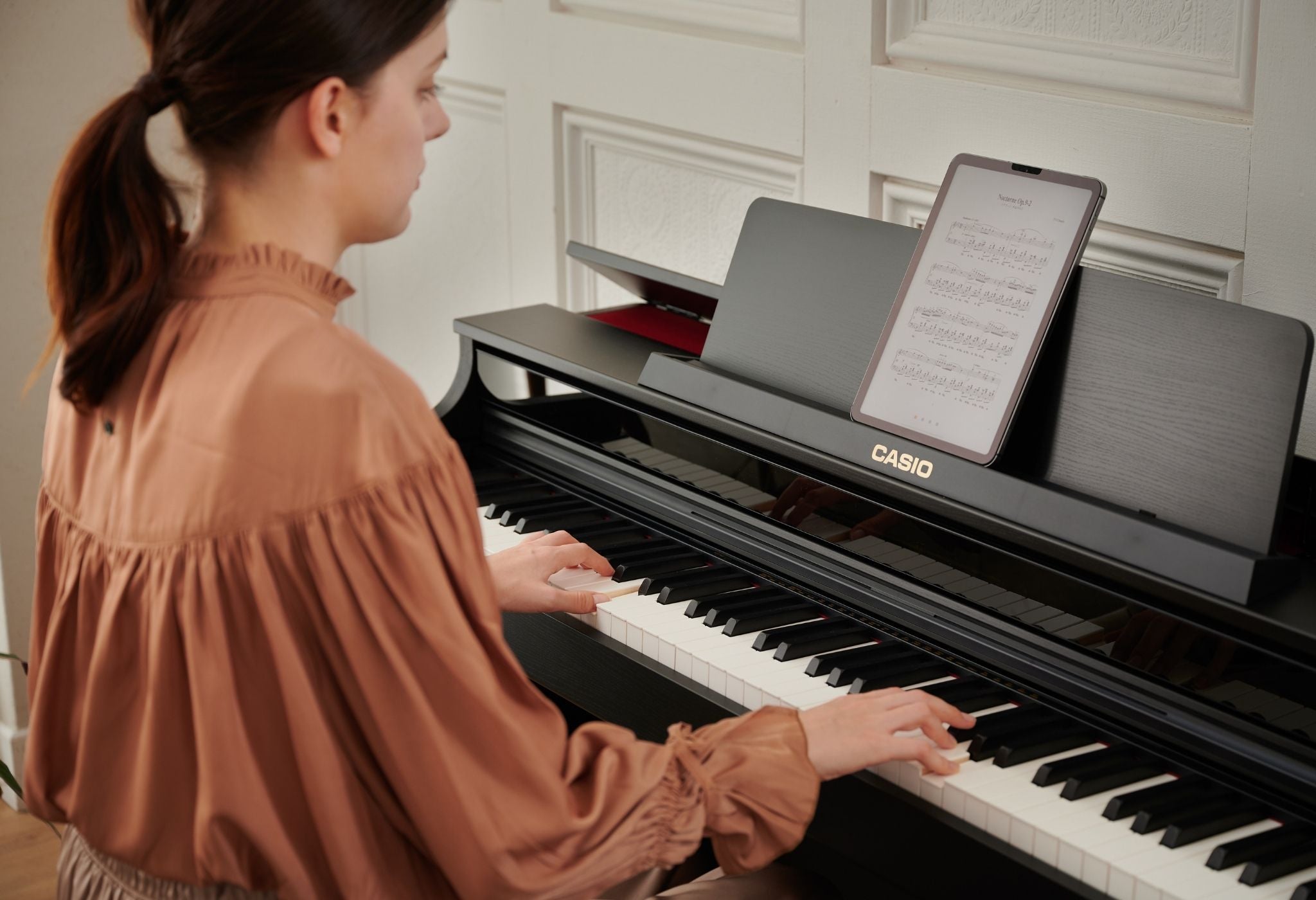 Casio Celvanio AP-550