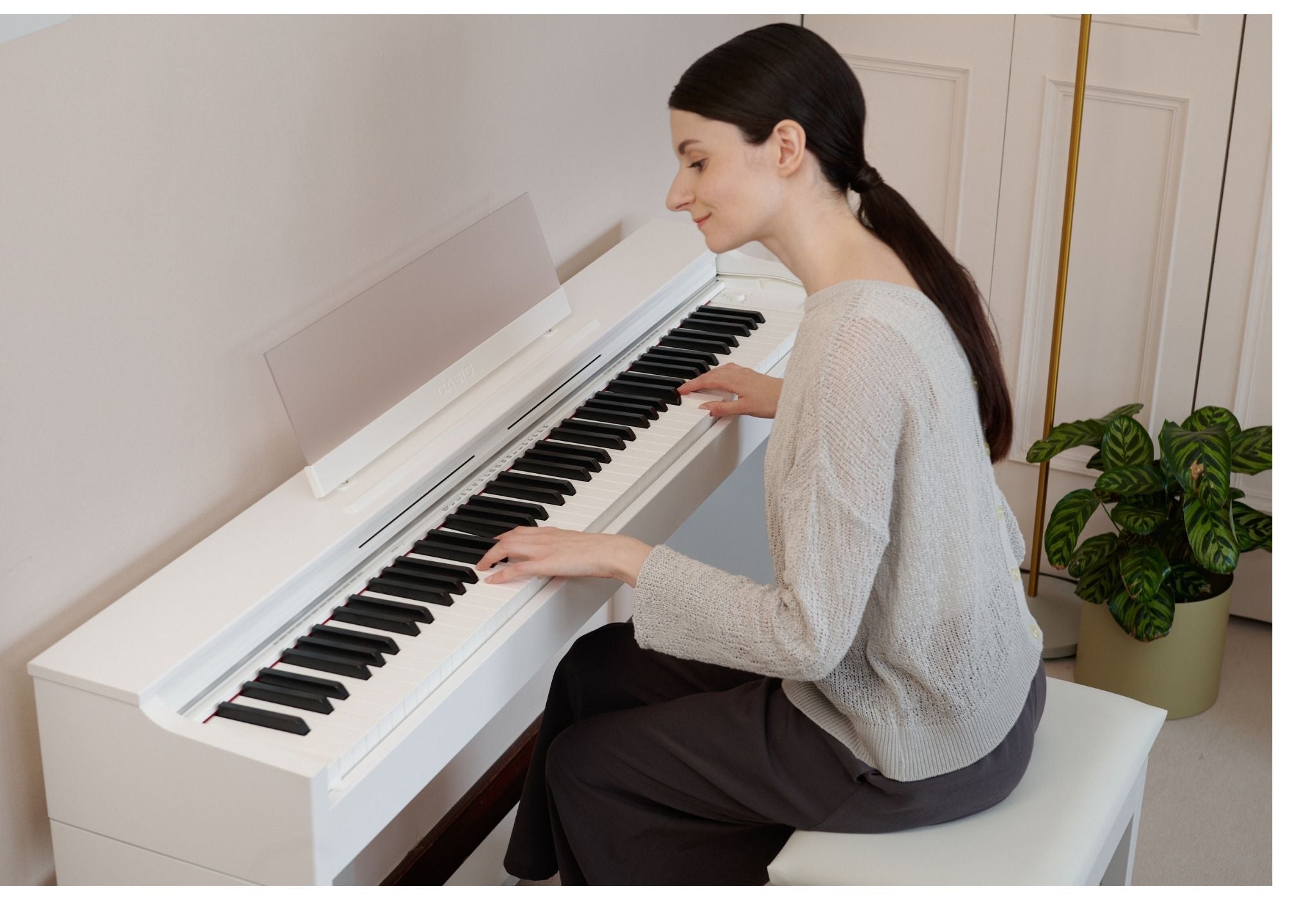 Casio Celvanio AP-S200