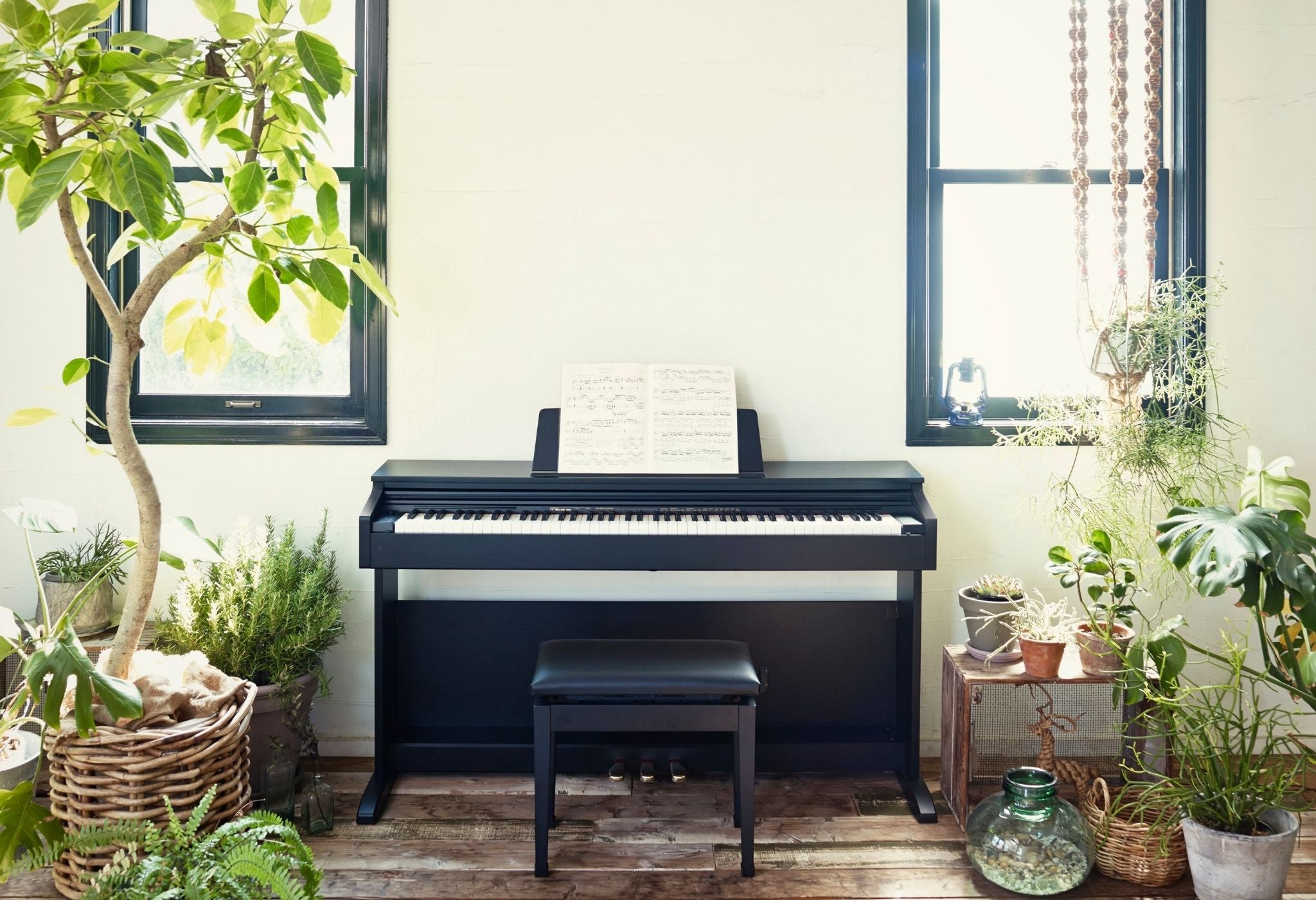 Casio Celvanio AP-270