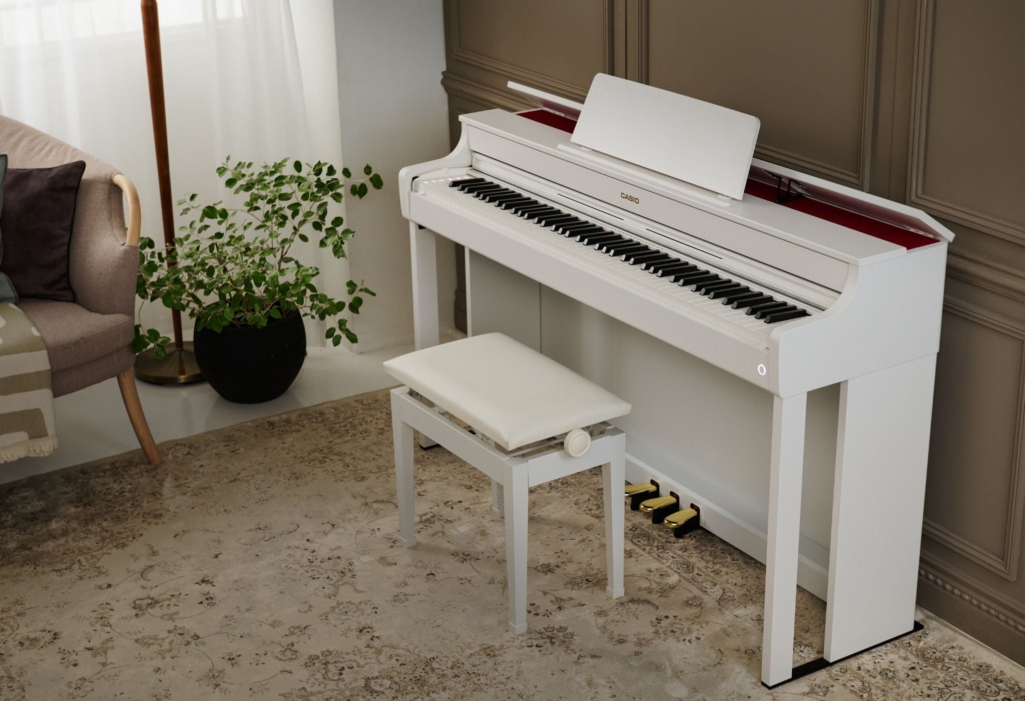 Casio Celvanio AP-S300