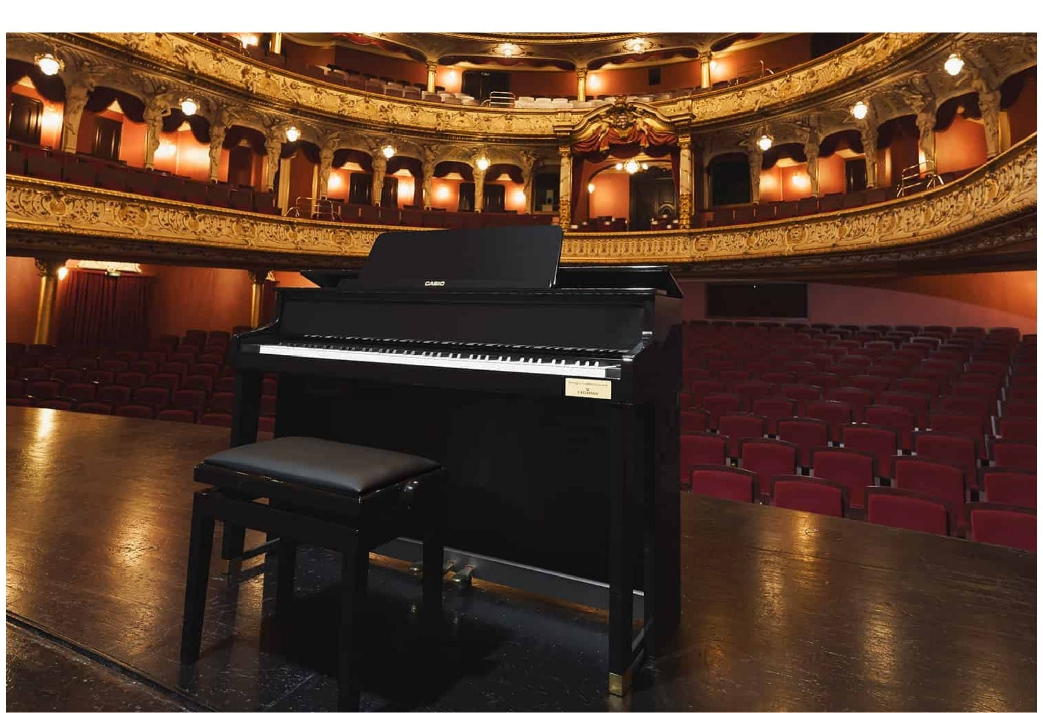 Casio Celvanio GP-510