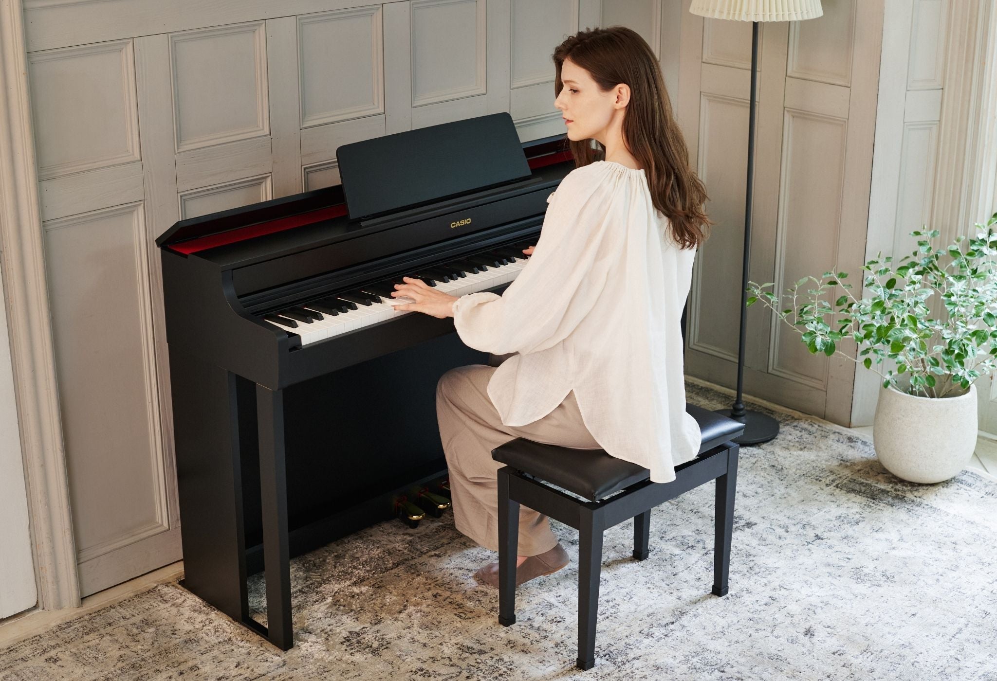 Casio Celvanio AP-S300