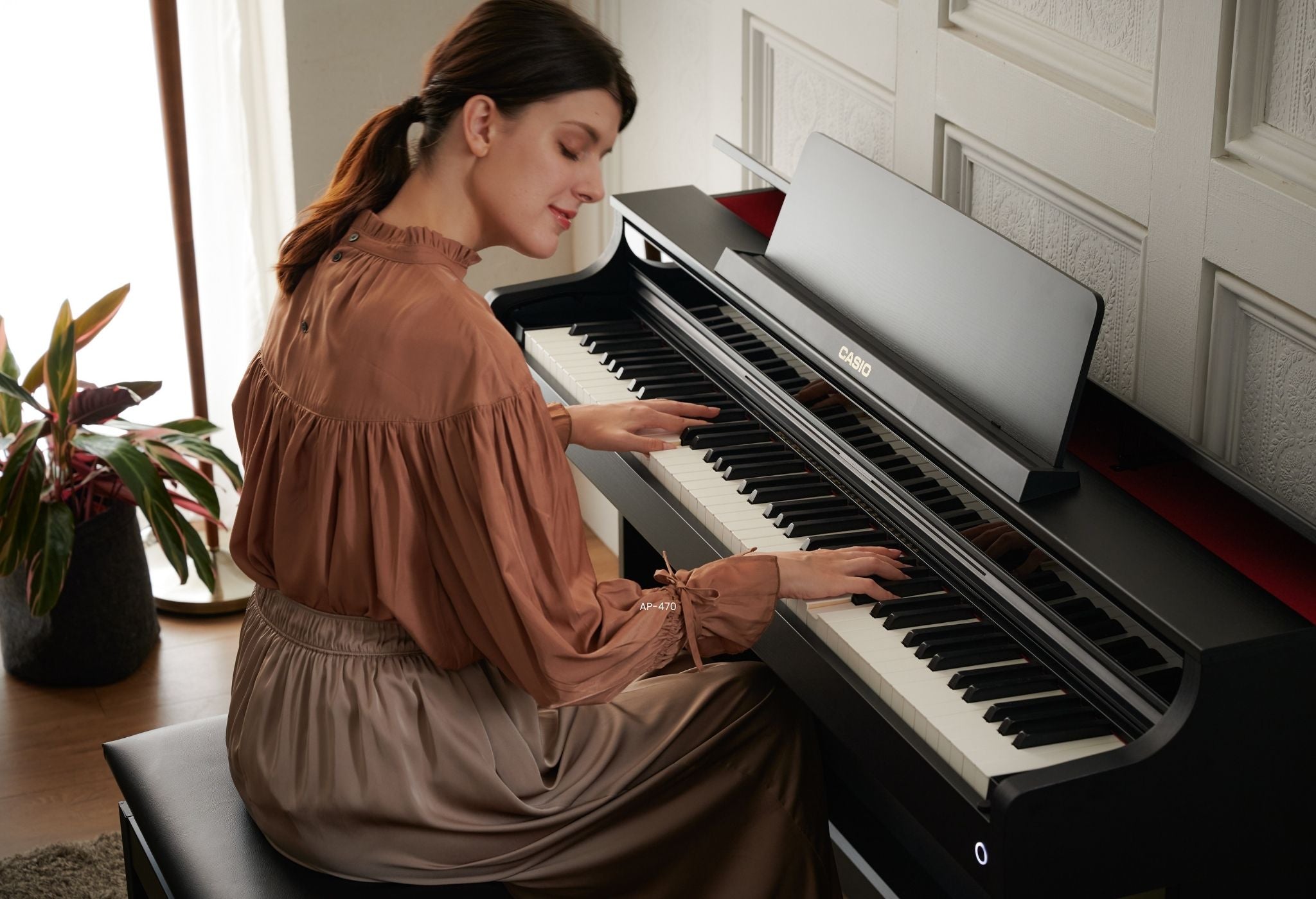 Casio Celvanio AP-550