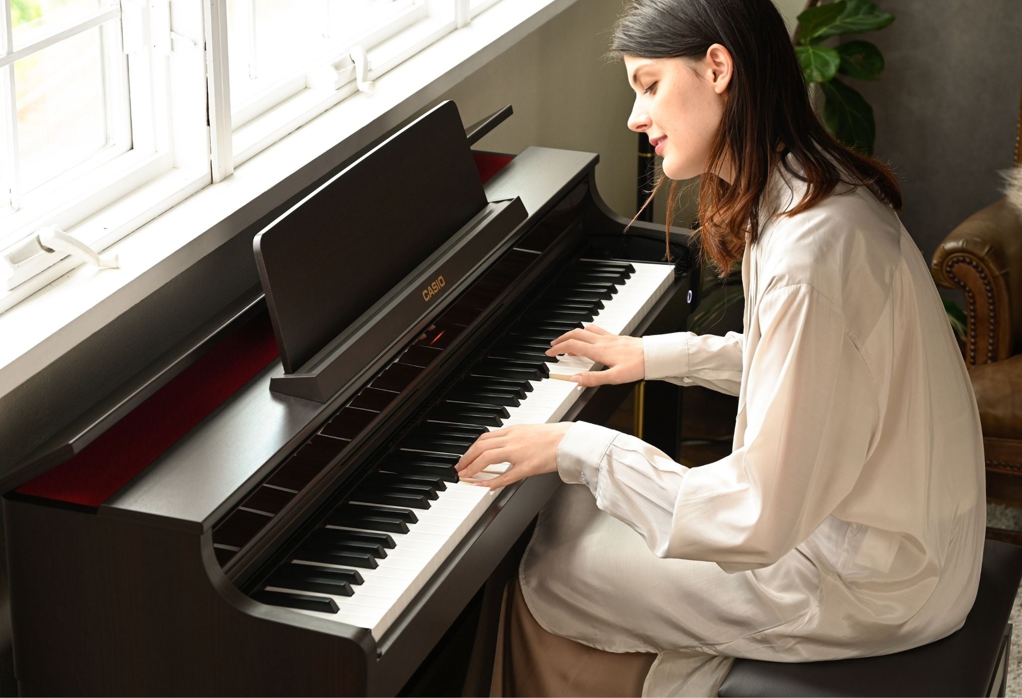 Casio Celvanio AP-550